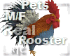 R|C Rooster Pets M/F