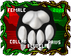 BE Yule Paws