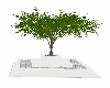 White Fountain