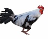 ANIMATED  ROOSTER