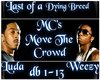 Luda-Move The Crowd dub