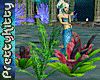 [PK] Seaplants