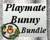 ~QI~PlaymateBunny Bundle