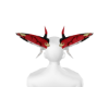 dragon horns calico