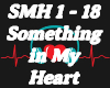 Something In My Heart