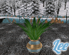 Cosy~Green Plant