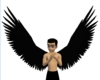 black wings 1