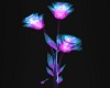 +VIBE ANIMATED ROSE+