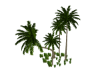 B| Palm Trees V1