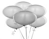 Silver Custome Balloons