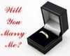 Will you marry me ?