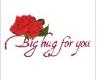 Rose Big Hugs For You