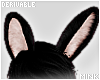           Bunny Ears-DRV