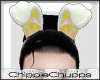 Bunny Girl Ears Yellow