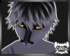 SACHIEL | Hairs