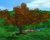 FALL SWING TREE