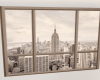 City Window