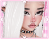 ❀. kali | yuki