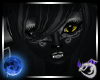 H25 Black Cat Fur