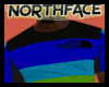 northface 3.0 top