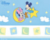 Mickey&Minnie Babyshower