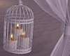 caged candles