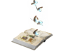Magical Book