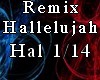 Remix Hallelujah