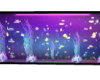 NEON WALL FISH TANK