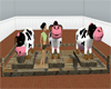 farm Milk Cows