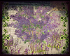 🌺  Lilac Bush Bundle