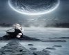 Moonlight