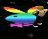 rainbow playboy dance fl