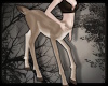 +Reindeer Centaur Avi
