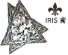 diamond earrings|IRIS