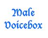 Male Voicebox