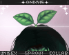 |Liana Sprout|