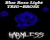 Blue Rose Light