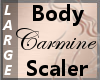 Body Scaler CarMine L
