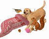 Puppys playing