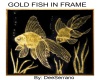 GOLD FISH IN FRAME