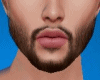 PAX cute beard brown