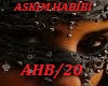 askim habibi