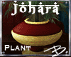 *B* Johara Plant 3