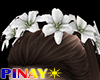 White Hair Flowers