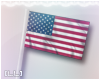 [LL] American Flag