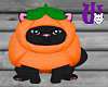 Pumpkin Kitten black