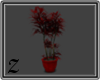 [Z] Red Bonsai Plant