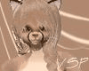 [VSP] Cougar kini