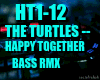 Happy Together remix